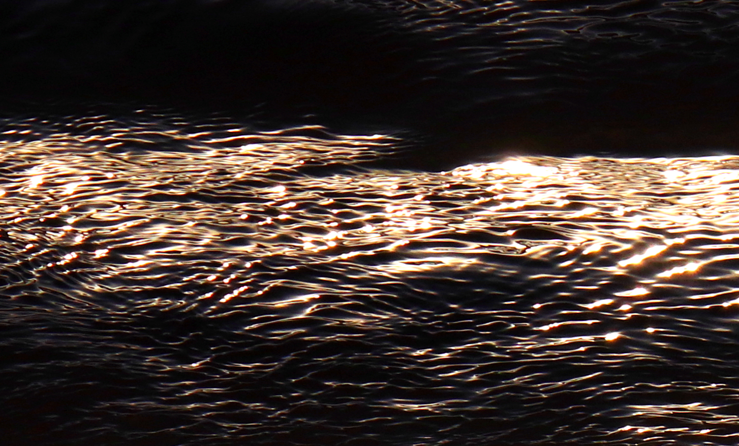 Untitled 111